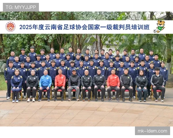 足球判罚标准详解：关键判定条件与裁判执法原则解析